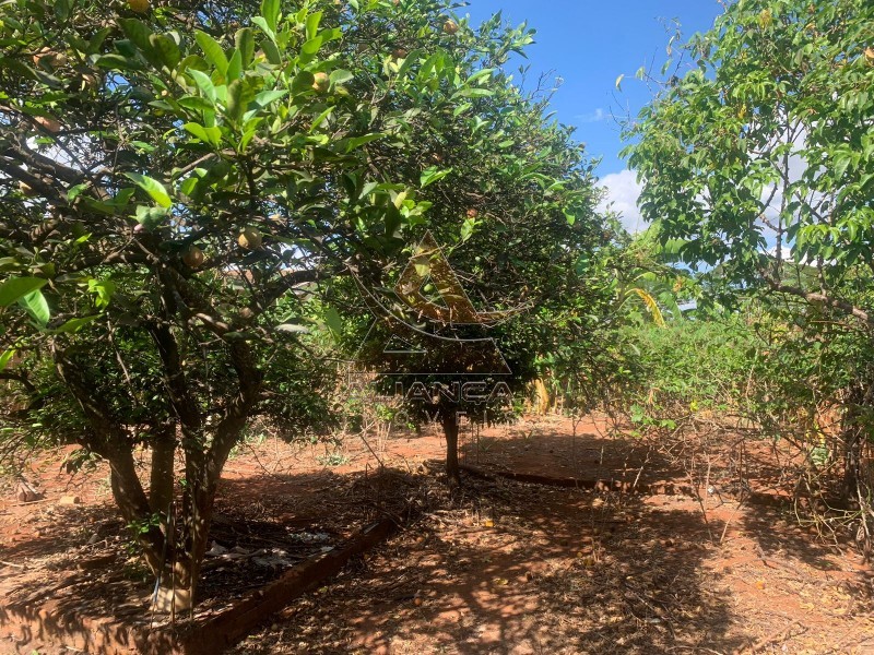 Aliança Imóveis - Imobiliária em Ribeirão Preto - SP - Terreno - Jardim Champagnat - Brodowski