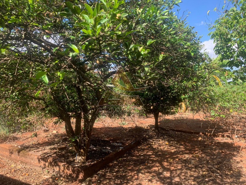 Aliança Imóveis - Imobiliária em Ribeirão Preto - SP - Terreno - Jardim Champagnat - Brodowski