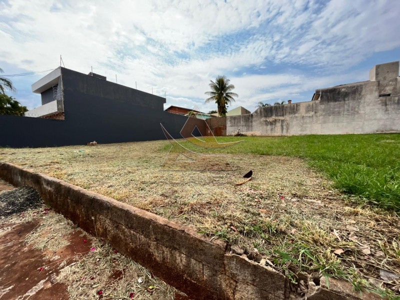 Aliança Imóveis - Imobiliária em Ribeirão Preto - SP - Terreno - Alto da Boa Vista - Ribeirão Preto