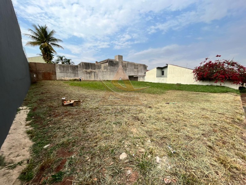 Aliança Imóveis - Imobiliária em Ribeirão Preto - SP - Terreno - Alto da Boa Vista - Ribeirão Preto