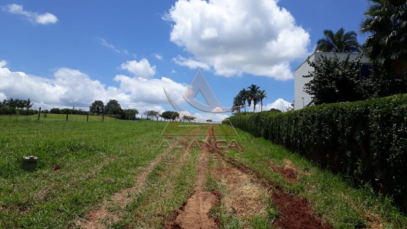 Aliança Imóveis - Imobiliária em Ribeirão Preto - SP - Terreno Condomínio - Delfinópolis  - Delfinópolis 