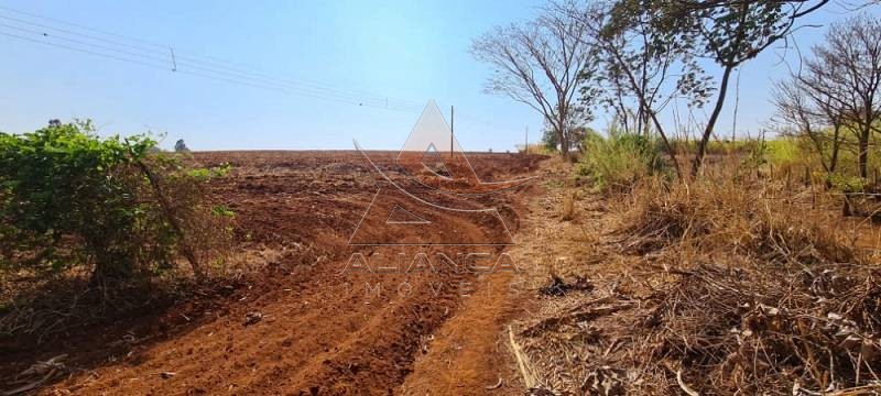 Aliança Imóveis - Imobiliária em Ribeirão Preto - SP - Área - Brodowski - Brodowski