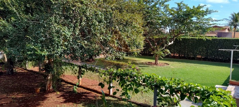 Aliança Imóveis - Imobiliária em Ribeirão Preto - SP - Chácara - Jardinópolis  - Jardinopolis