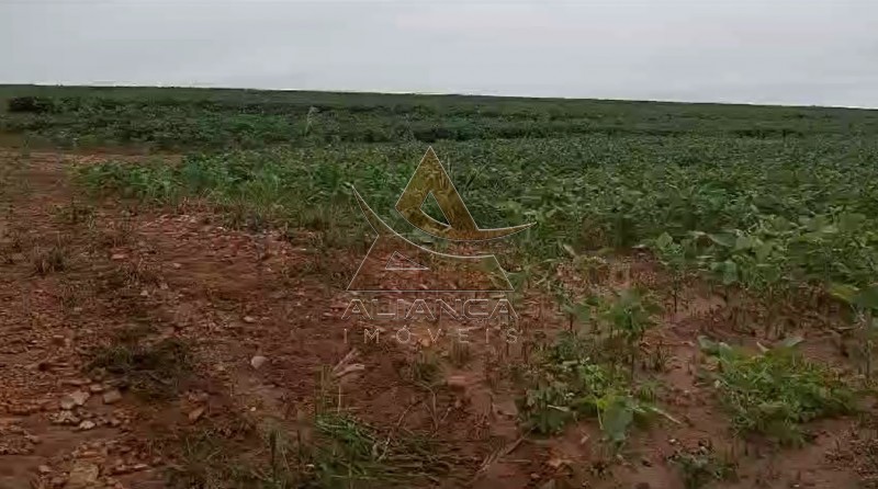 Aliança Imóveis - Imobiliária em Ribeirão Preto - SP - Fazenda  - Zona Rural - Casa Branca