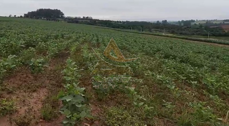 Fazenda-Sítio-Chácara, 249 hectares - Foto 3