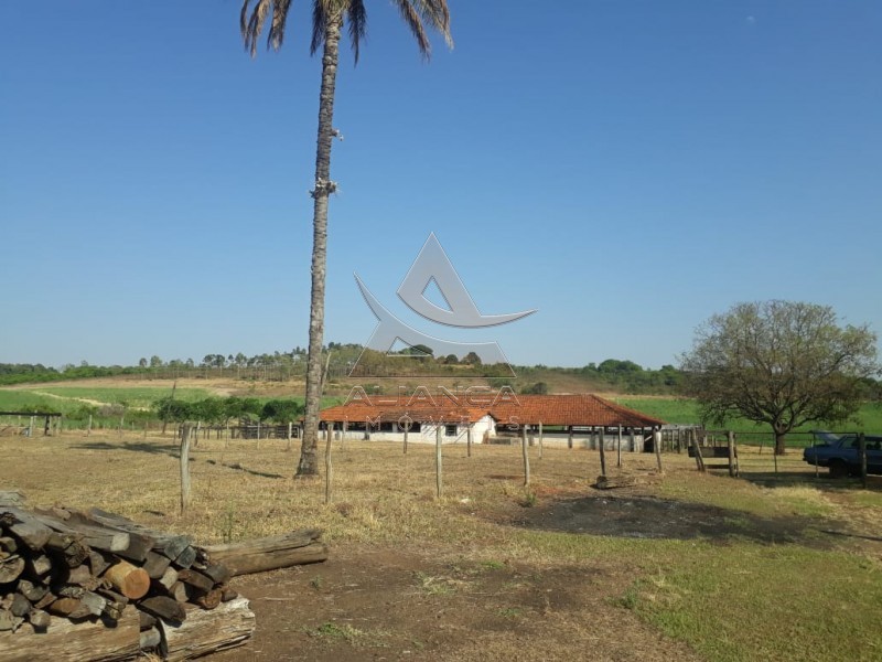 Aliança Imóveis - Imobiliária em Ribeirão Preto - SP - Fazenda  - Zona Rural - Cajuru 