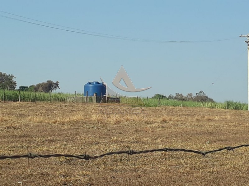 Aliança Imóveis - Imobiliária em Ribeirão Preto - SP - Fazenda  - Zona Rural - Cajuru 