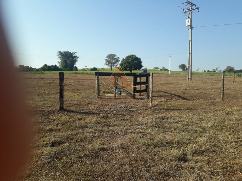 Aliança Imóveis - Imobiliária em Ribeirão Preto - SP - Fazenda  - Zona Rural - Cajuru 