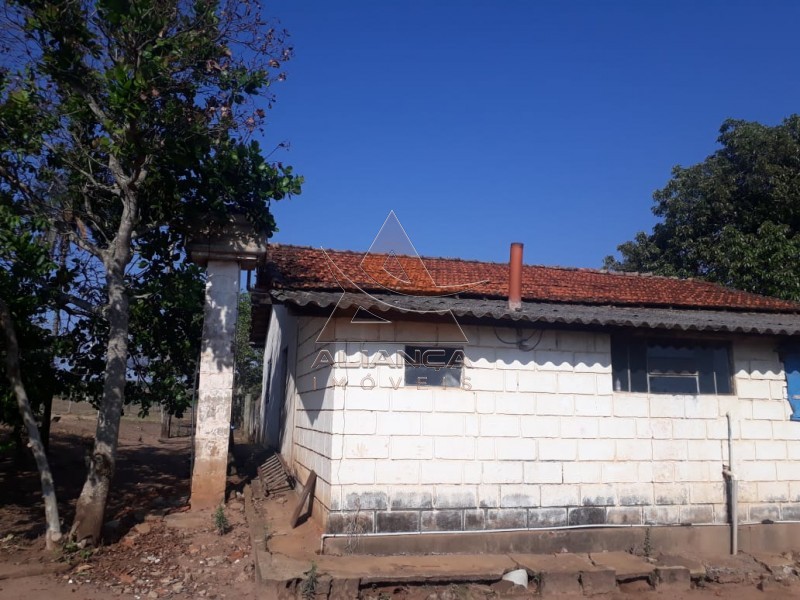 Aliança Imóveis - Imobiliária em Ribeirão Preto - SP - Fazenda  - Zona Rural - Cajuru 