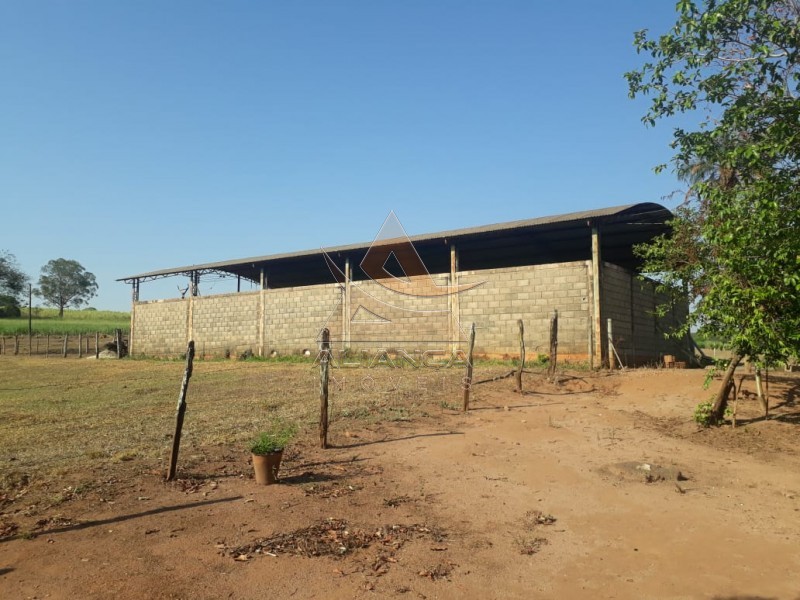 Aliança Imóveis - Imobiliária em Ribeirão Preto - SP - Fazenda  - Zona Rural - Cajuru 