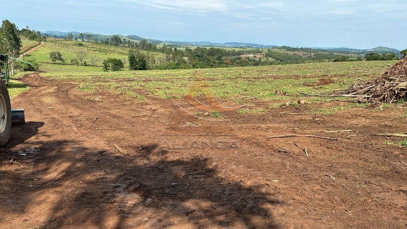 Aliança Imóveis - Imobiliária em Ribeirão Preto - SP - Fazenda  - Zona Rural - Santo Antônio do Amparo