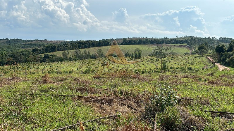 Aliança Imóveis - Imobiliária em Ribeirão Preto - SP - Fazenda  - Zona Rural - Santo Antônio do Amparo