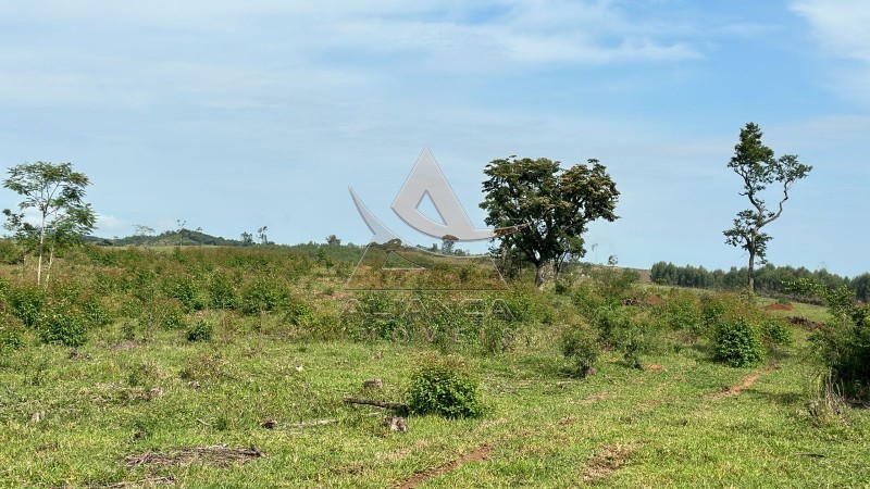 Aliança Imóveis - Imobiliária em Ribeirão Preto - SP - Fazenda  - Zona Rural - Santo Antônio do Amparo