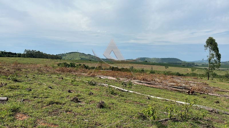 Aliança Imóveis - Imobiliária em Ribeirão Preto - SP - Fazenda  - Zona Rural - Santo Antônio do Amparo