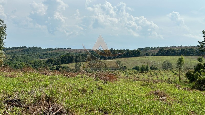 Aliança Imóveis - Imobiliária em Ribeirão Preto - SP - Fazenda  - Zona Rural - Santo Antônio do Amparo