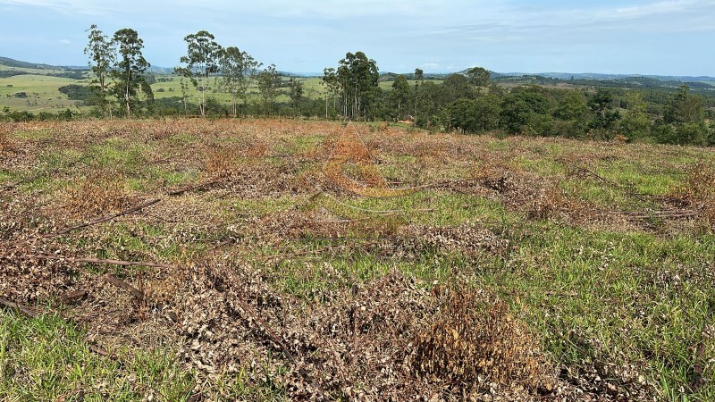 Aliança Imóveis - Imobiliária em Ribeirão Preto - SP - Fazenda  - Zona Rural - Santo Antônio do Amparo