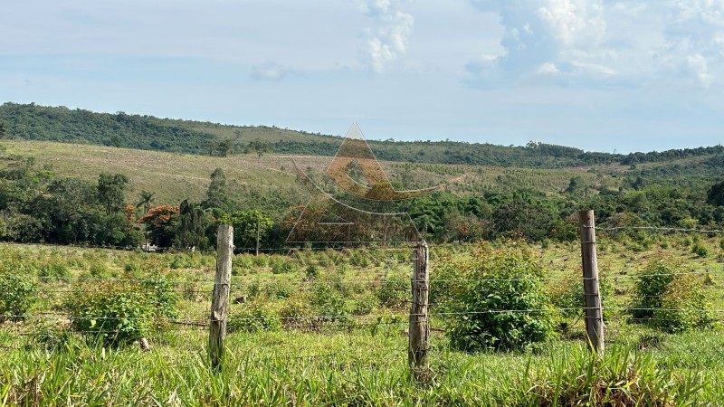 Aliança Imóveis - Imobiliária em Ribeirão Preto - SP - Fazenda  - Zona Rural - Santo Antônio do Amparo