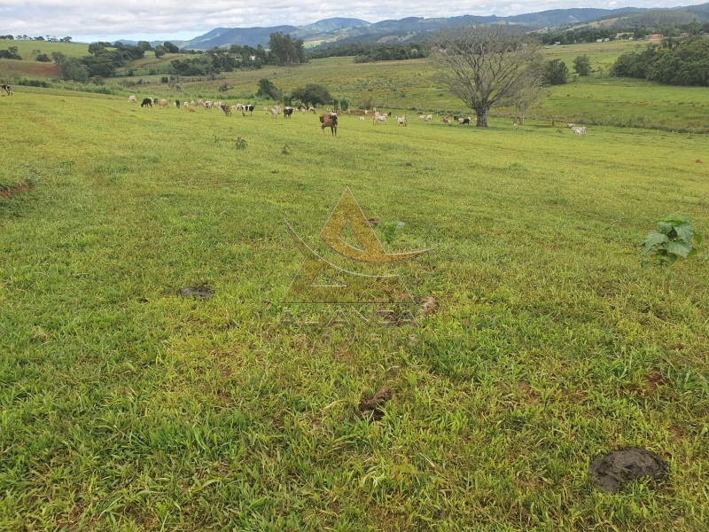 Aliança Imóveis - Imobiliária em Ribeirão Preto - SP - Fazenda  - Zona Rural - Santo Antônio do Amparo