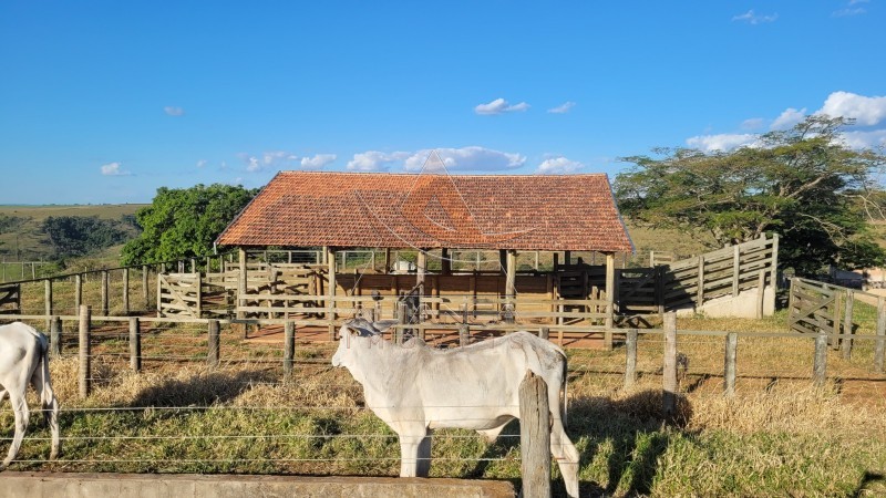 Aliança Imóveis - Imobiliária em Ribeirão Preto - SP - Sítio - Zona Rural - Piracicaba 