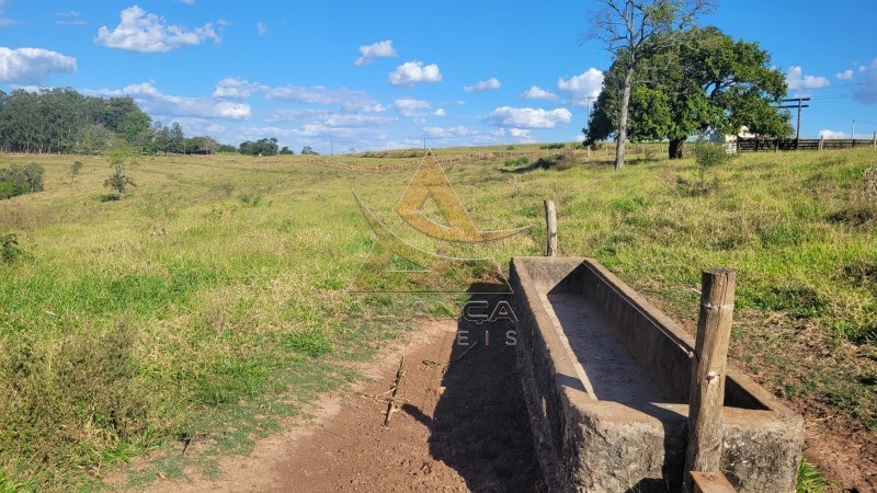 Aliança Imóveis - Imobiliária em Ribeirão Preto - SP - Sítio - Zona Rural - Piracicaba 