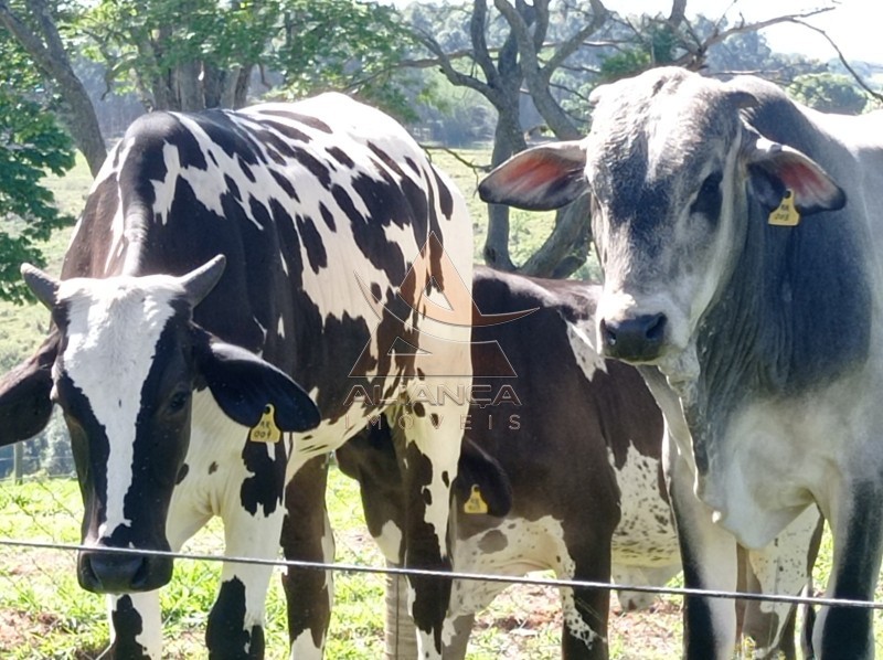 Aliança Imóveis - Imobiliária em Ribeirão Preto - SP - Sítio - Zona Rural - Piracicaba 