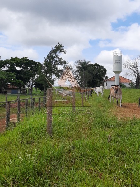 Aliança Imóveis - Imobiliária em Ribeirão Preto - SP - Sítio - Zona Rural - Piracicaba 