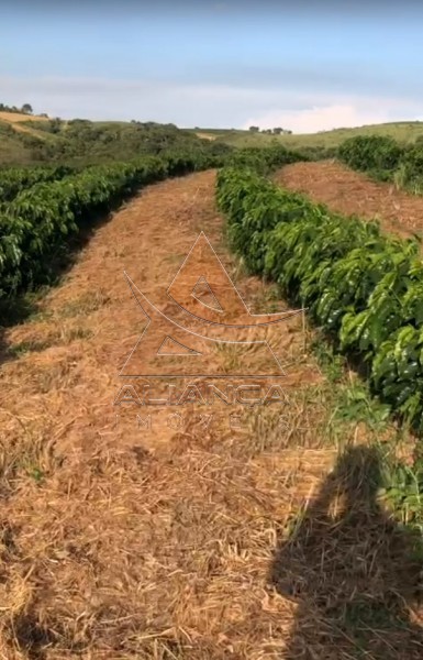 Fazenda à venda com 2 quartos, 2070000m² - Foto 9