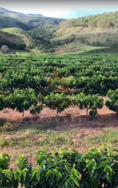 Aliança Imóveis - Imobiliária em Ribeirão Preto - SP - Fazenda  - Zona Rural - Vargem Bonita