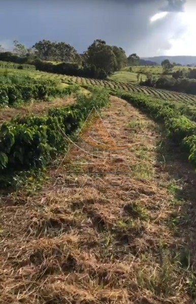 Aliança Imóveis - Imobiliária em Ribeirão Preto - SP - Fazenda  - Zona Rural - Vargem Bonita