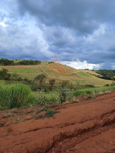 Aliança Imóveis - Imobiliária em Ribeirão Preto - SP - Fazenda  - Zona Rural - Conceição do Rio Verde