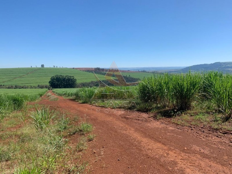 Aliança Imóveis - Imobiliária em Ribeirão Preto - SP - Fazenda  - Patrocínio Paulista - Patrocínio Paulista