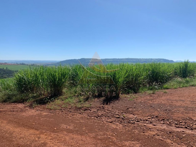 Aliança Imóveis - Imobiliária em Ribeirão Preto - SP - Fazenda  - Patrocínio Paulista - Patrocínio Paulista