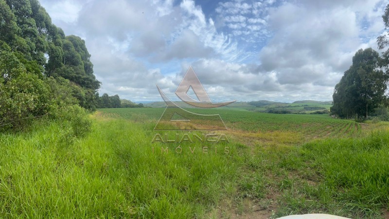 Aliança Imóveis - Imobiliária em Ribeirão Preto - SP - Fazenda  - Zona Rural - Oliveira