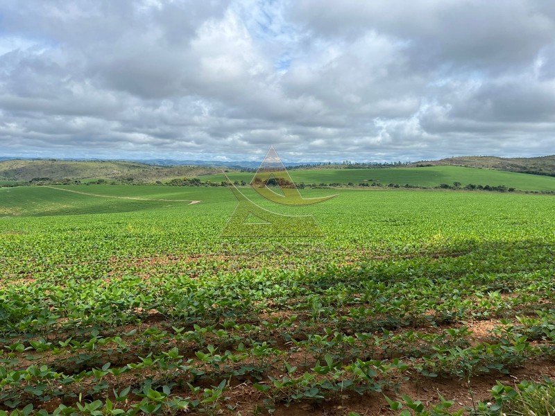 Aliança Imóveis - Imobiliária em Ribeirão Preto - SP - Fazenda  - Zona Rural - Oliveira