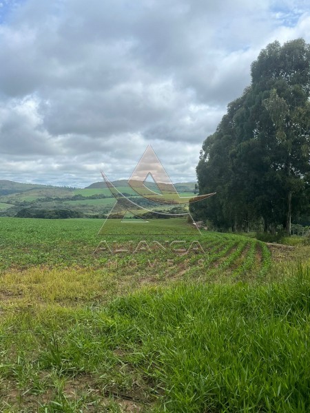 Aliança Imóveis - Imobiliária em Ribeirão Preto - SP - Fazenda  - Zona Rural - Oliveira