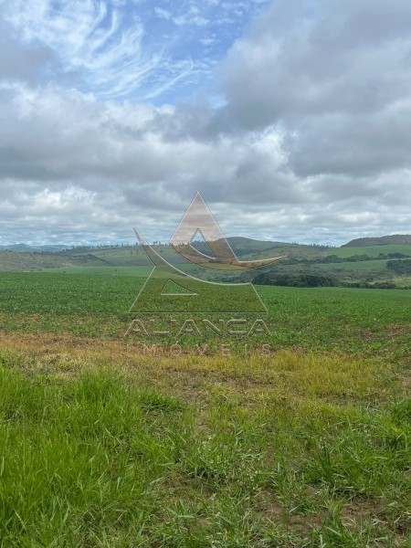 Aliança Imóveis - Imobiliária em Ribeirão Preto - SP - Fazenda  - Zona Rural - Oliveira