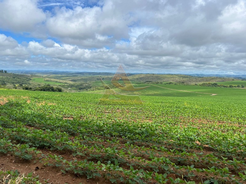 Fazenda  - Zona Rural - Oliveira