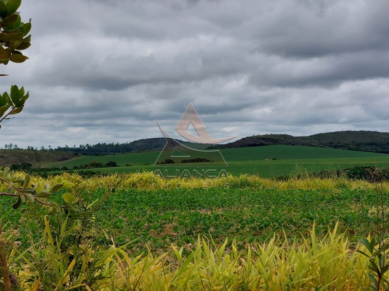 Aliança Imóveis - Imobiliária em Ribeirão Preto - SP - Fazenda  - Zona Rural - Oliveira