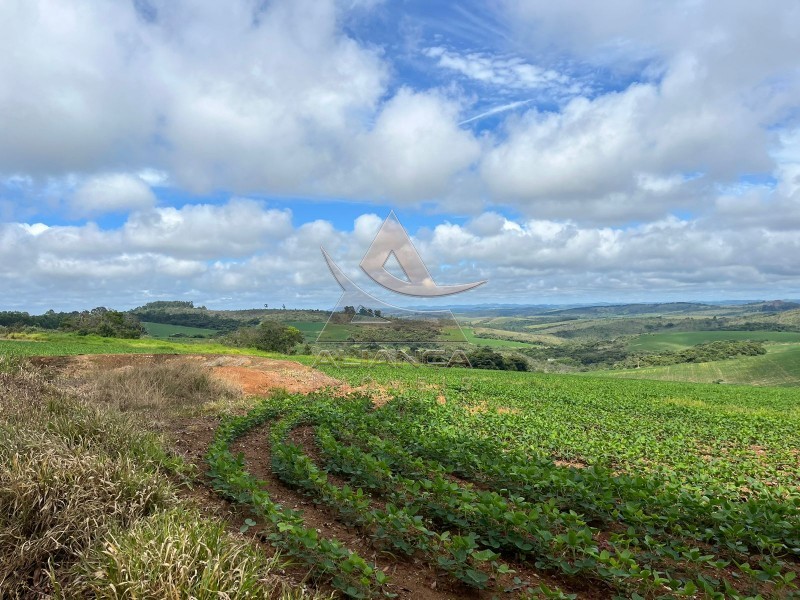 Aliança Imóveis - Imobiliária em Ribeirão Preto - SP - Fazenda  - Zona Rural - Oliveira