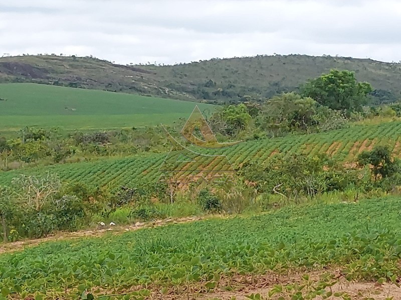 Aliança Imóveis - Imobiliária em Ribeirão Preto - SP - Fazenda  - Zona Rural - Oliveira