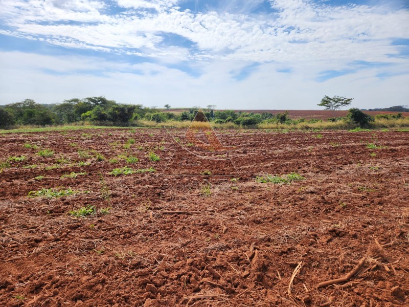 Aliança Imóveis - Imobiliária em Ribeirão Preto - SP - Fazenda  - Zona Rural - São Carlos