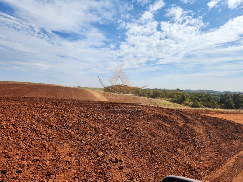 Aliança Imóveis - Imobiliária em Ribeirão Preto - SP - Fazenda  - Zona Rural - São Carlos