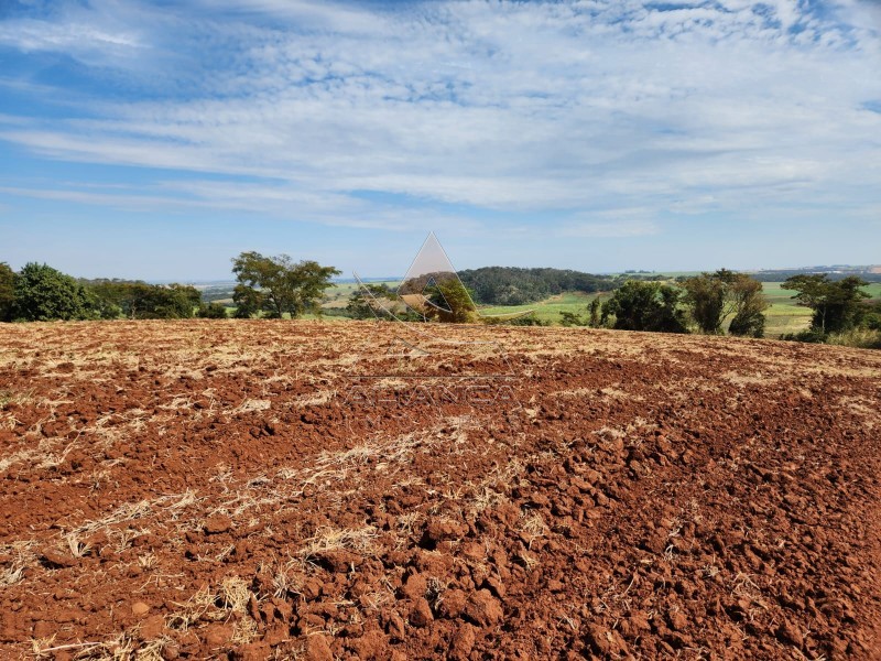 Aliança Imóveis - Imobiliária em Ribeirão Preto - SP - Fazenda  - Zona Rural - São Carlos