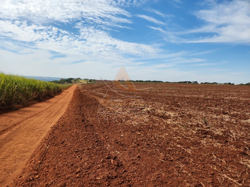 Aliança Imóveis - Imobiliária em Ribeirão Preto - SP - Fazenda  - Zona Rural - São Carlos