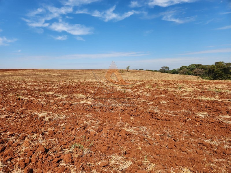 Aliança Imóveis - Imobiliária em Ribeirão Preto - SP - Fazenda  - Zona Rural - São Carlos