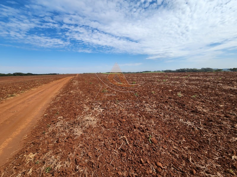 Aliança Imóveis - Imobiliária em Ribeirão Preto - SP - Fazenda  - Zona Rural - São Carlos