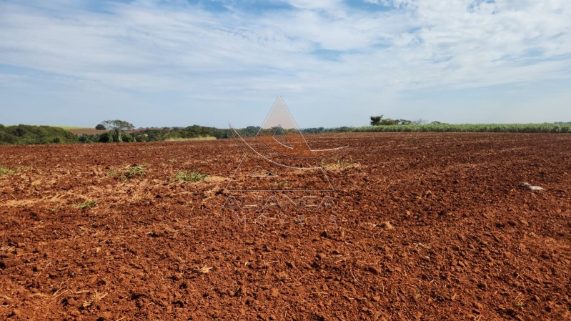 Aliança Imóveis - Imobiliária em Ribeirão Preto - SP - Fazenda  - Zona Rural - São Carlos