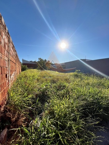 Aliança Imóveis - Imobiliária em Ribeirão Preto - SP - Terreno - Ribeirânia - Ribeirão Preto