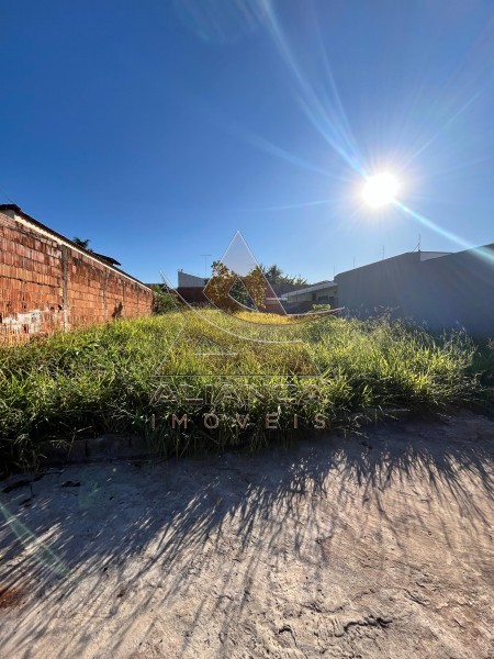 Aliança Imóveis - Imobiliária em Ribeirão Preto - SP - Terreno - Ribeirânia - Ribeirão Preto