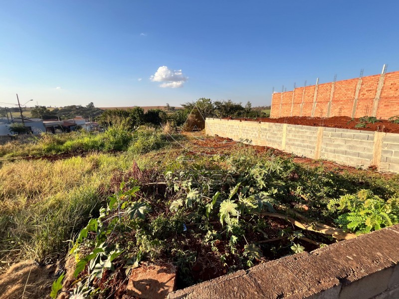 Aliança Imóveis - Imobiliária em Ribeirão Preto - SP - Terreno - Jardim Santa Cecília - Bonfim Paulista